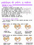 Cuaderno digital - Traumatología