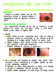 Cuaderno digital - Oftalmología