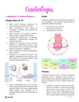 Apuntes Medicina Interna